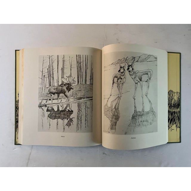 1970s Francis Lee Jacques: Artist of the Wilderness World, 1973, 1st Edition, Slipcase For Sale - Image 5 of 9