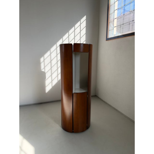 Wood Wardrobe by Carlo De Carli for Fiarm, 1970s For Sale - Image 7 of 7