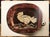 1950 Set of 8 Swiss Prints of Picasso's Ceramic Platters For Sale - Image 13 of 18