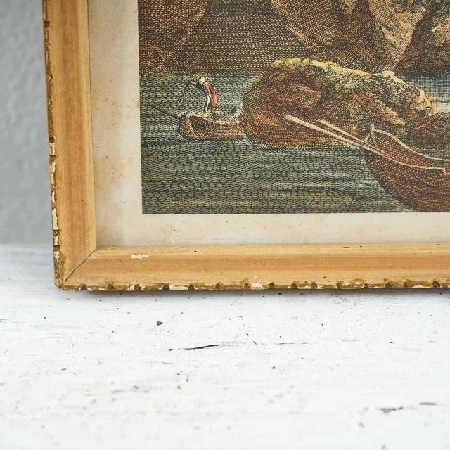 G. Cristini, Marine Life, Print For Sale - Image 3 of 5