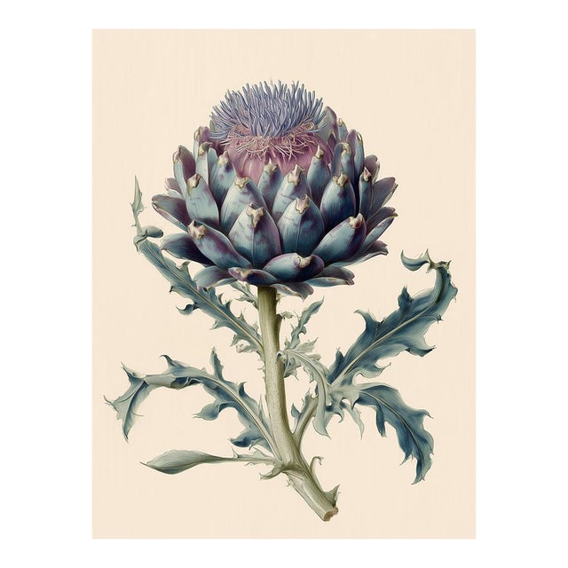 Botanical Study of Cardoon (Cynara Cardunculus) — Antique Botanical Fine Art Print For Sale