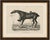 Antique racehorse training scene, hullmandel sporting lithograph c.1840 a fascinating nineteenth-century sporting...