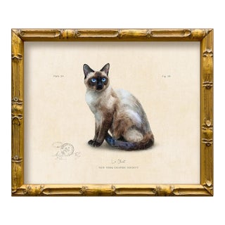 Reproduction Art Print of Vintage “Le Chat" Illustration (Cat 2), Framed For Sale