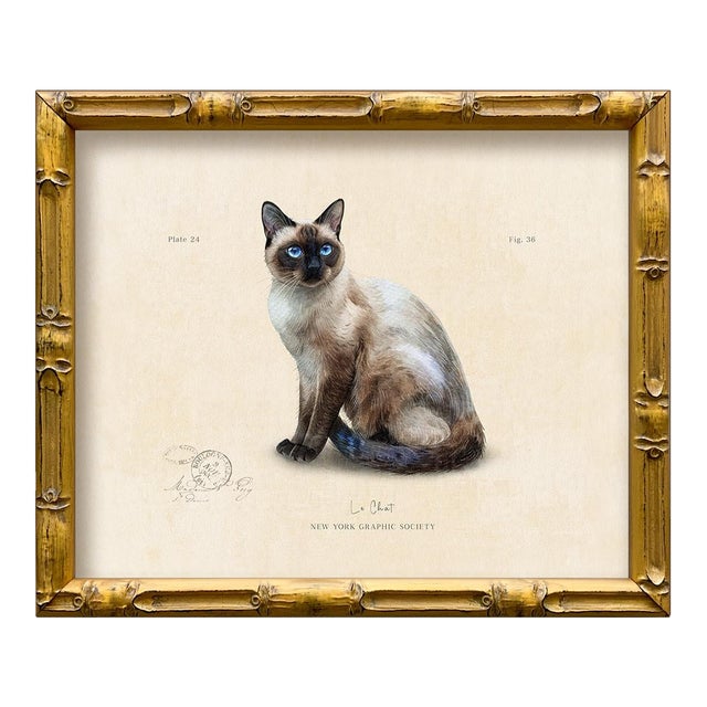 Reproduction Art Print of Vintage “Le Chat" Illustration (Cat 2), Framed For Sale