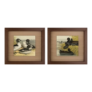 Two Antique Framed Bird Prints From the Birds of North America by Jacob H. Studer, Edited From Original, Ducks For Sale