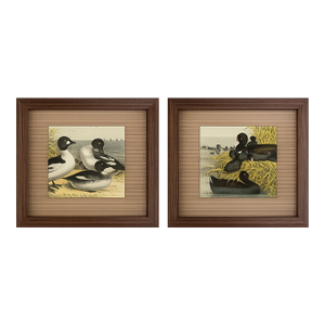 Two Antique Framed Bird Prints From the Birds of North America by Jacob H. Studer, Edited From Original, Ducks