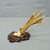 Antique Set of Black Forest Roe Deer Trophies, Germany ca. 1890s/1900s An elegant ensemble of six antique roe deer...