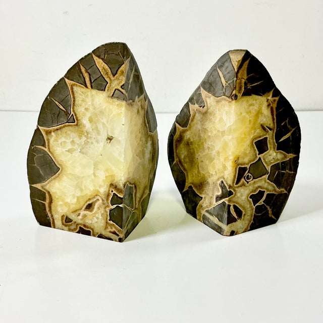 Vintage Home is pleased to present this pair of stunning stone bookends. They have been cut from a Septarian Stone and...