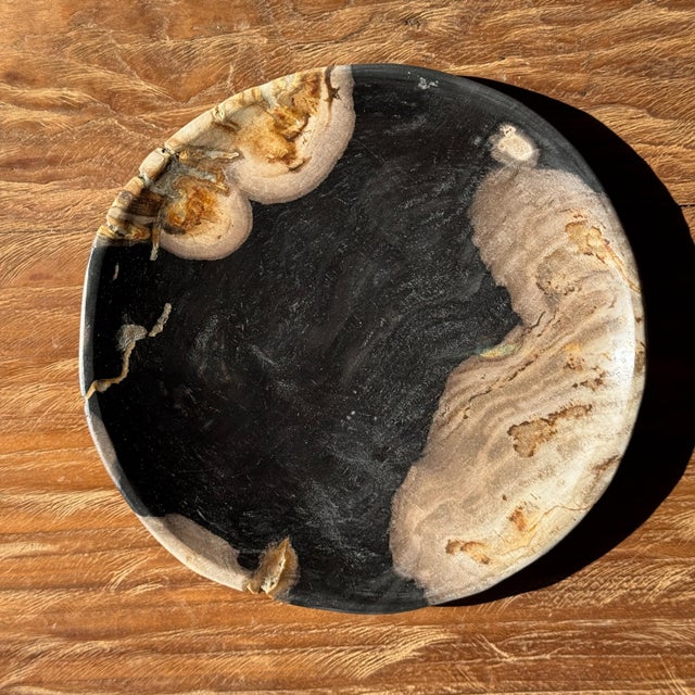 Small Trinket Tray or Dish in Black and Beige Petrified Wood, 1980s For Sale - Image 11 of 11