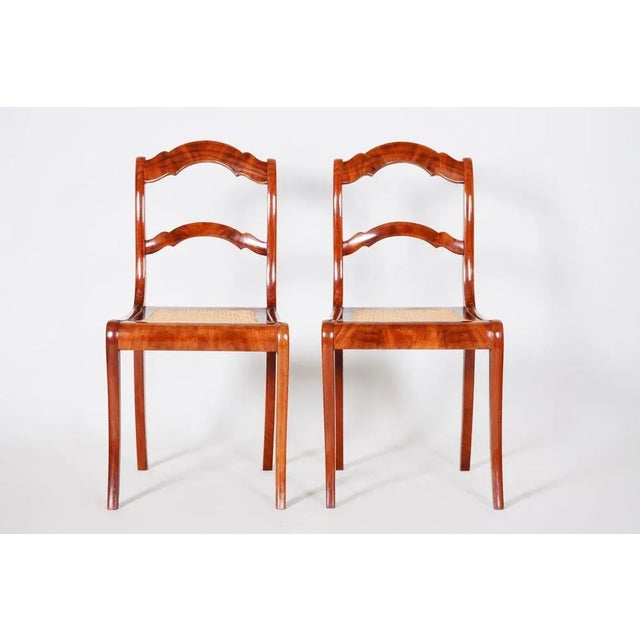 Set of Biedermeier Dining Chairs in Mahogany & Wicker, Germany, 1830s For Sale - Image 6 of 9
