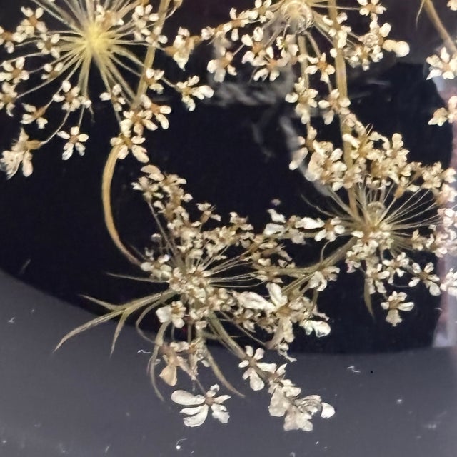 Vintage Botanical Resin Paperweight With Pressed Queen Anne's Lace For Sale - Image 10 of 17