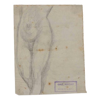 Luigi Galli, Anatomical Studies, 19th Century, Pencil on Paper For Sale