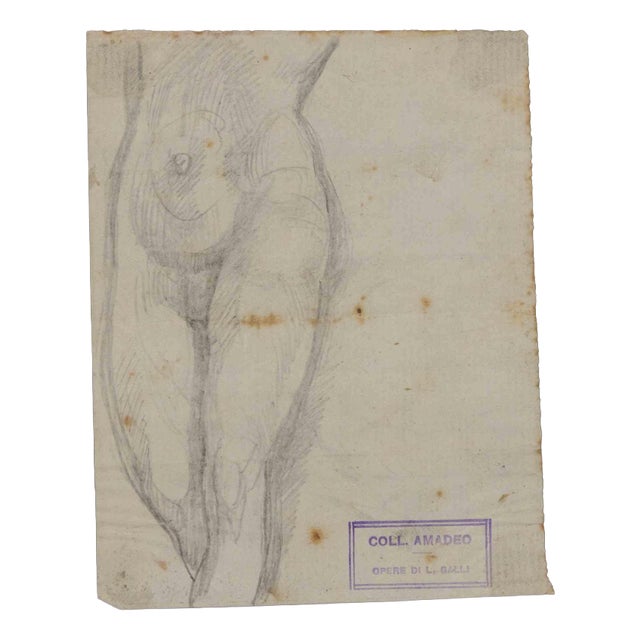 Luigi Galli, Anatomical Studies, 19th Century, Pencil on Paper For Sale