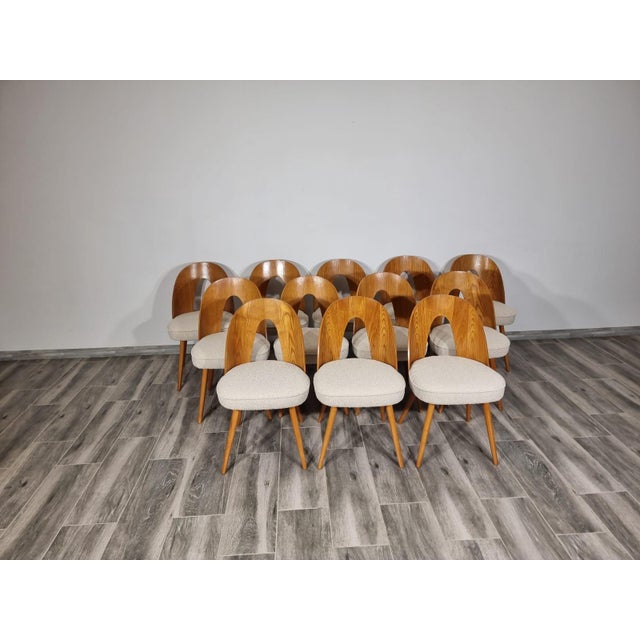 Dining Chairs from Antonin Suman, 1960s, Set of 12 For Sale - Image 6 of 18