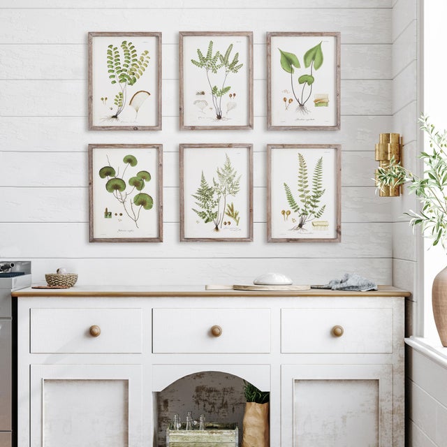 Early 21st Century Shade Garden Study, Set Of 6 For Sale - Image 5 of 6