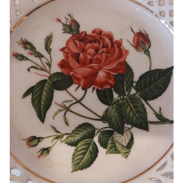 Antique Plate Classic Roses No 1 by Pierre Joseph Redouté for Schumann, 1960s For Sale - Image 6 of 9