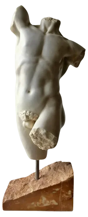 Early 20th Century Italian Torso Carrara Marble