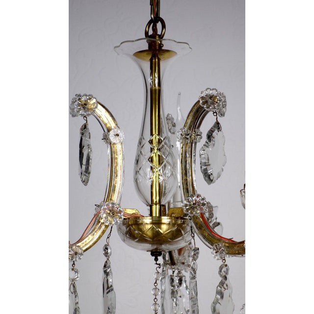 1950s Antique Maria Theresia Chandelier from Palwa, 1950s For Sale - Image 5 of 13