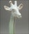 1970s William Herrera Studio Art Porcelain Giraffe Covered Dish For Sale - Image 4 of 6