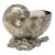 Antique English Silver Plated Nautilus Shell Spoon Warmer For Sale