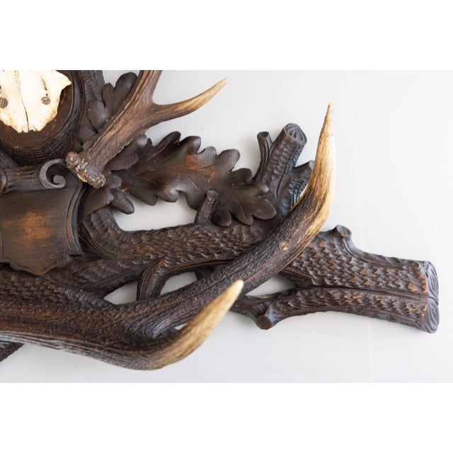 Brown 19th Century Black Forest Antlers Trophy Mount Mantel Wall Plaque For Sale - Image 8 of 11