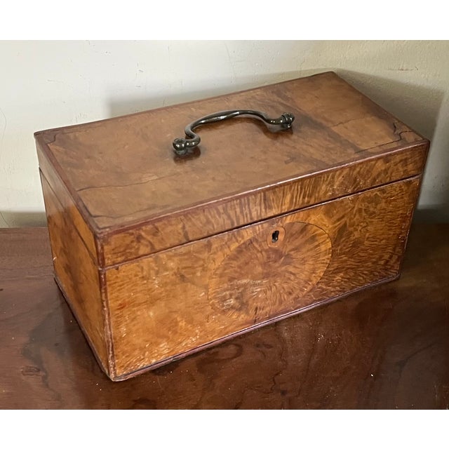English Antique 18th Century English George III Satinwood and Mahogany Tea Caddy Box Circa 1790 For Sale - Image 3 of 18