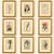 Botanical Set of 9 in Gold Leaf Gesso Mat by Curtis, 1842 (Framed) For Sale - Image 14 of 14