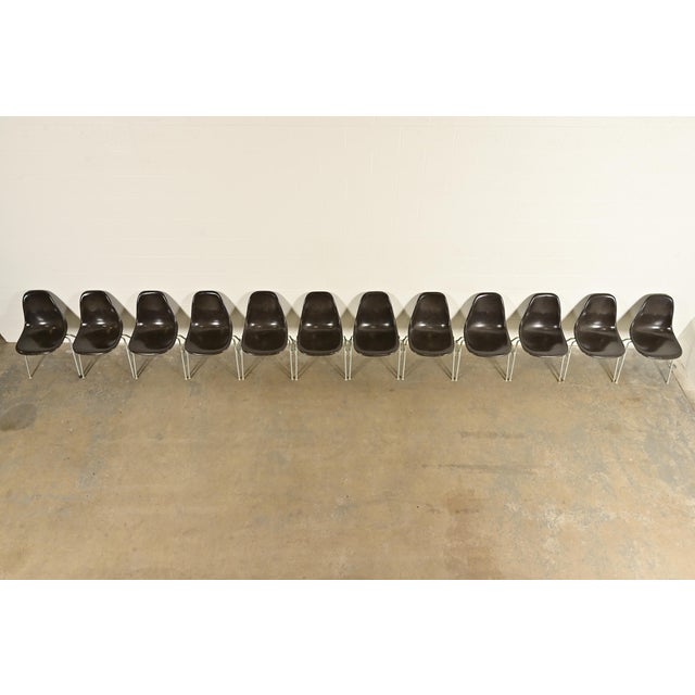 1980s Charles & Ray Eames for Herman Miller DSS Seal Brown Stacking Shell Chairs | Set of Twelve For Sale - Image 5 of 15