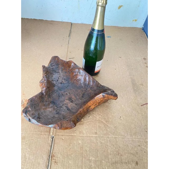 Brutalist Root Wood Vide Poche or Bowl, France, 1960s For Sale - Image 11 of 12