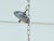 Gold Mid 20th Century Spanish Midcentury Gilt Metal Semi-Flush Crown Chandelier with Tiered Foliage For Sale - Image 8 of 12