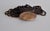 Wood Vintage Monies Faux-Horn Bracelet by Gerda Lynggaard, 1990s For Sale - Image 7 of 14