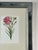 Vintage Trowbridge Custom Framed Botanical Print “Dianthus Caryophyllus” After Louis Stroobant, Belgium 1845-1888 For Sale - Image 4 of 10