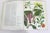 White 1970 Wildflowers of the World Hardcover Book Wild Flowers Botanical Painted Plants Colorful Flower For Sale - Image 8 of 12