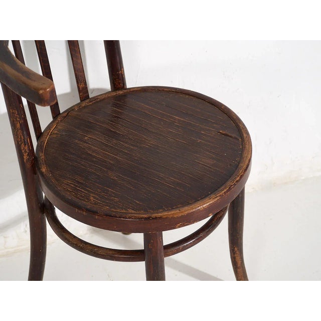 1920s Vintage Bentwood Chairs, 1920, Set of 4 For Sale - Image 5 of 10
