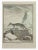 Le Sarigue is an etching realized by Jean Charles Baquoy in 1771. It belongs to the suite "Histoire Naturelle de Buffon"....