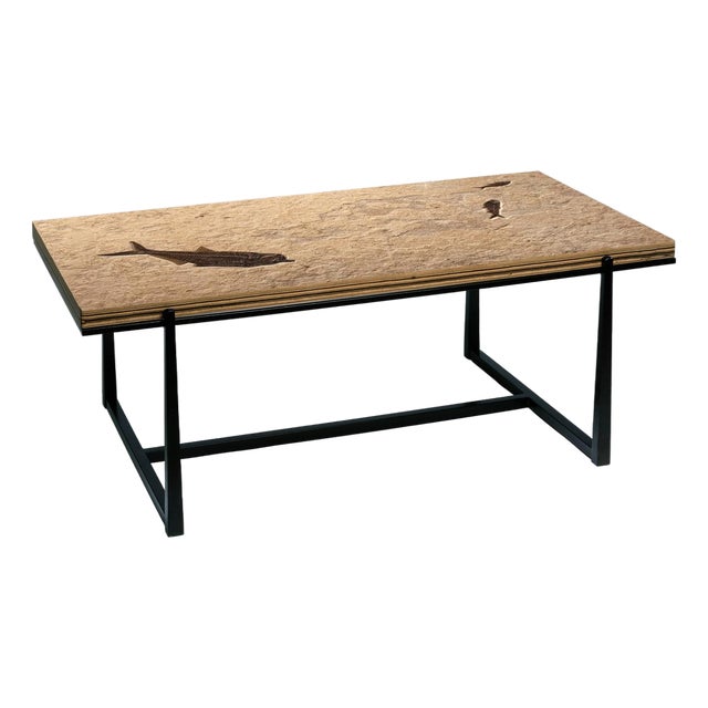 Fossil Coffee Table 5333t For Sale
