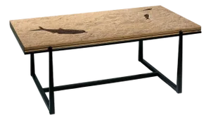 Fossil Coffee Table 5333t