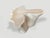 Wood Andrianna Shamaris Amorphous Bleached Teak Wood Coffee Table For Sale - Image 7 of 18