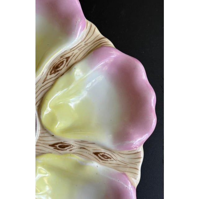 Yellow 19th C. Continental Oyster Plates, a Pair For Sale - Image 8 of 9