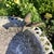 Vintage Bird Bath Aluminum With Iron Filigree Base and Perching Bird Sculpture For Sale - Image 11 of 12