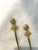 Victorian Vintage Golden Bell Hors D" Oeuvre Forks & Spoons, Set of 12 For Sale - Image 3 of 5