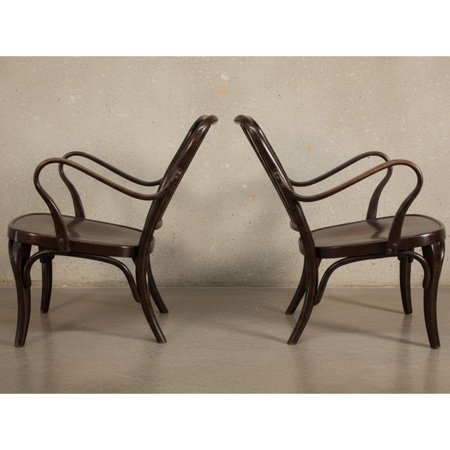 Thonet No. 752 Armchairs by Josef Frank for Thonet, 1930s, Set of 2 For Sale - Image 4 of 10