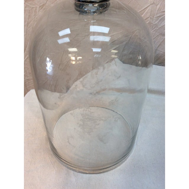 Glass 1800s French Glass Dome, Cloche With Solid Glass Knob Handle For Sale - Image 7 of 12