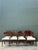 Vintage Biedermeier Flame Dining Chairs - Set of 8 For Sale - Image 16 of 17