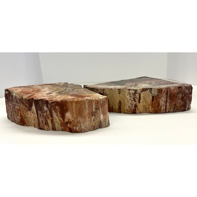 Wood Pair of Petrified Wood Bookends – Large Bookmatched Fossil Wood Slabs – Organic Modern / MCM Shelf Decor For Sale - Image 7 of 9