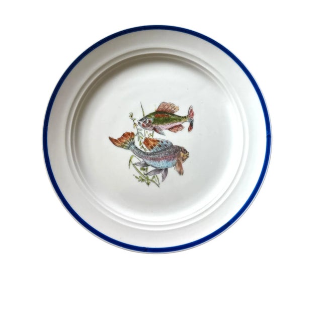 1960s Vintage Italian Ceramic Fish Plates & Platter – Hand-Painted Deruta, 1960s, Set of 11 For Sale - Image 5 of 12