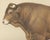 Borie, Limousin Bull, French Cattle Breed, 1863, Chromolithograph For Sale - Image 4 of 9