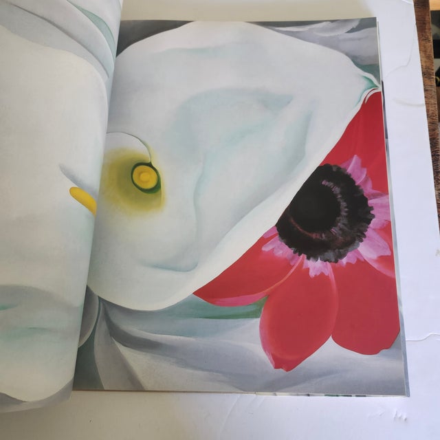 1987 Georgia O'Keeffe : One Hundred Flowers. Knopf, 1st Edition Large Hardback For Sale - Image 12 of 13