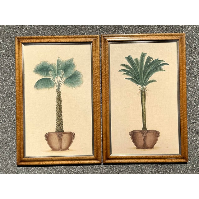 Vintage Coastal Palm Prints - A Pair For Sale In West Palm - Image 6 of 12