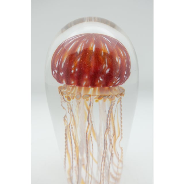 Golden Barberry Glass Jellyfish Sculpture For Sale In New York - Image 6 of 7